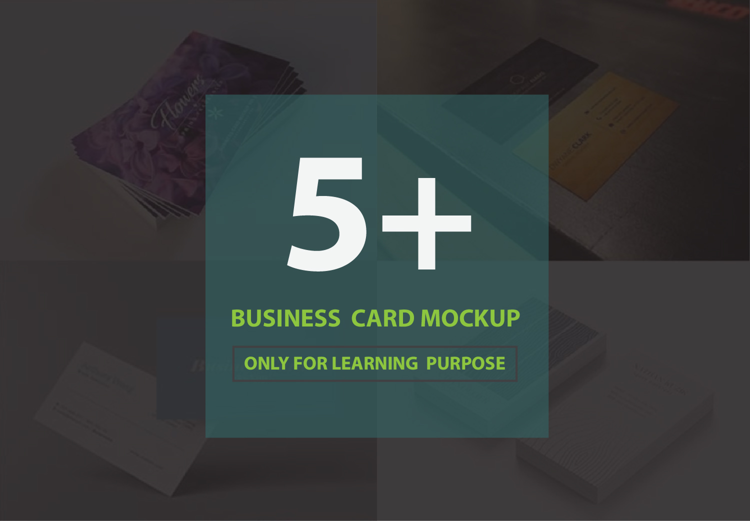 Business Card Mockup Bundle 14